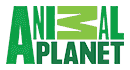 Animal Planet